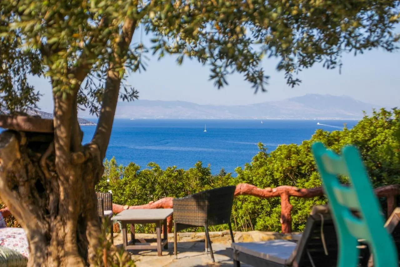 The Aegean Gate Hotel (Adults Only) Bodrum