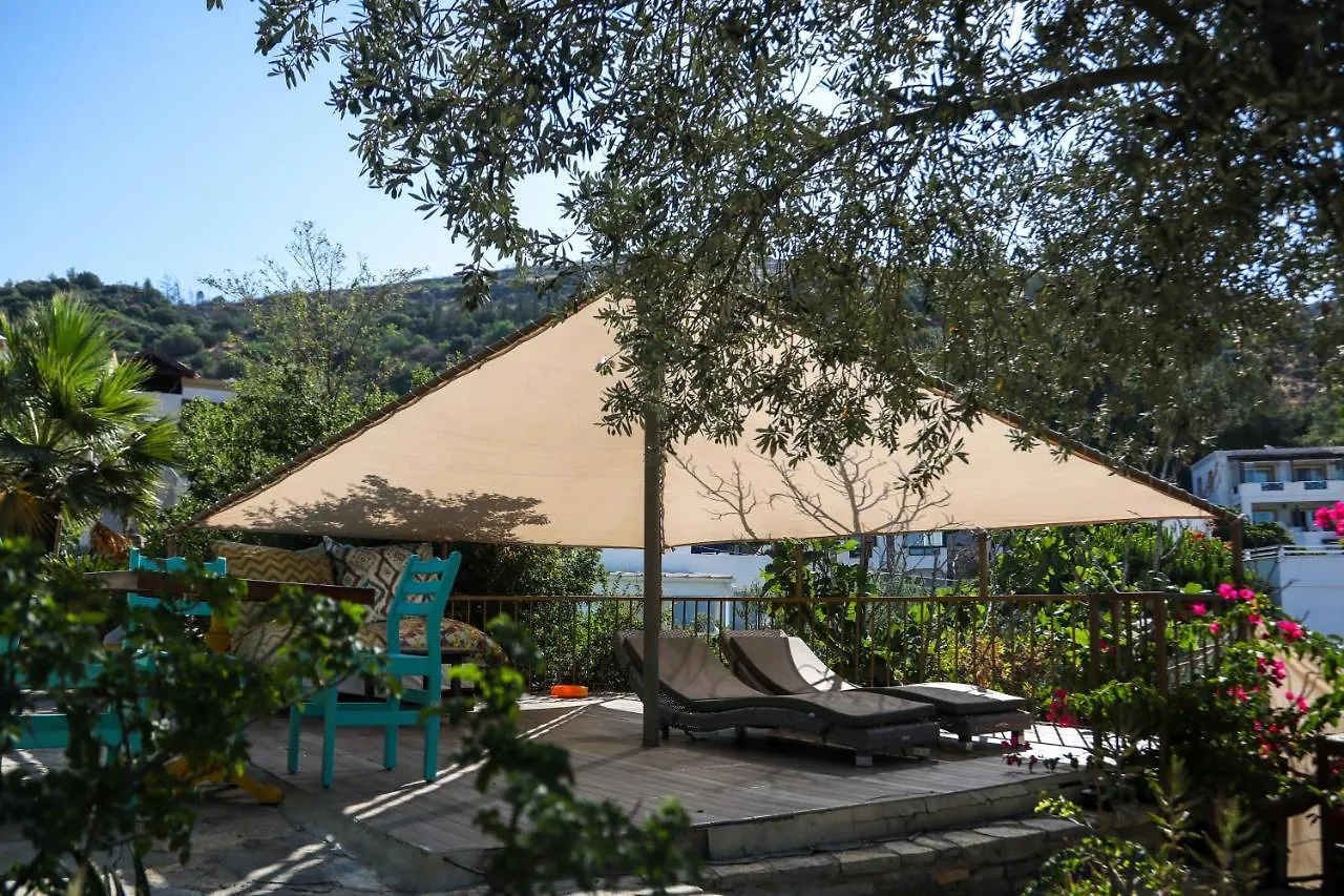 ****  The Aegean Gate Hotel (Adults Only) Bodrum Turkey