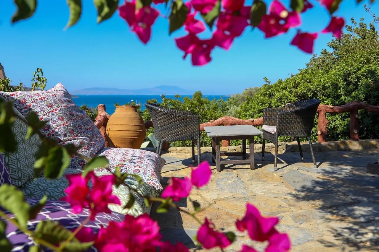 The Aegean Gate Hotel (Adults Only) Bodrum