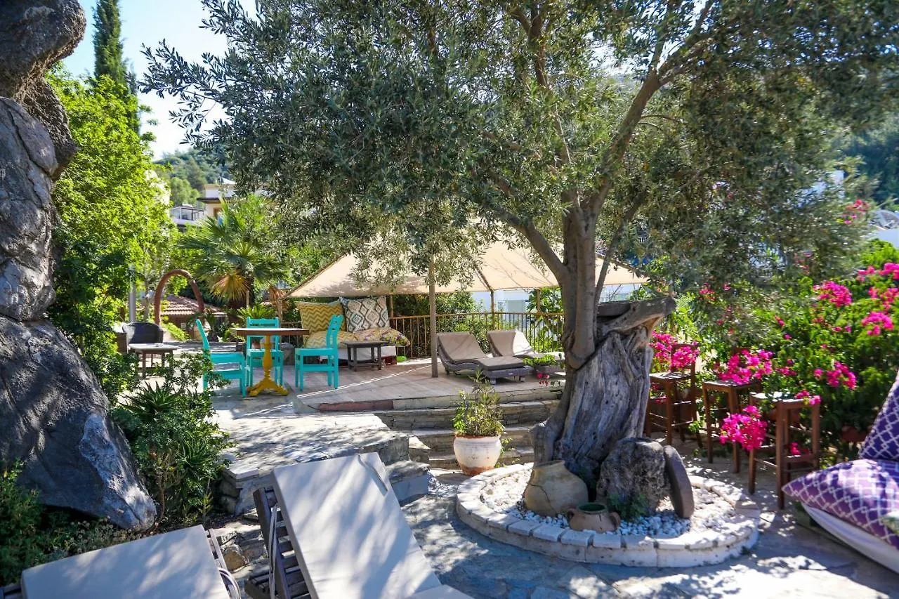 ****  The Aegean Gate Hotel (Adults Only) Bodrum Turkey