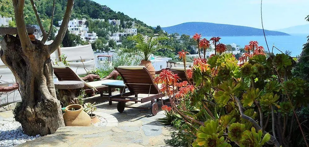 The Aegean Gate Hotel (Adults Only) Bodrum
