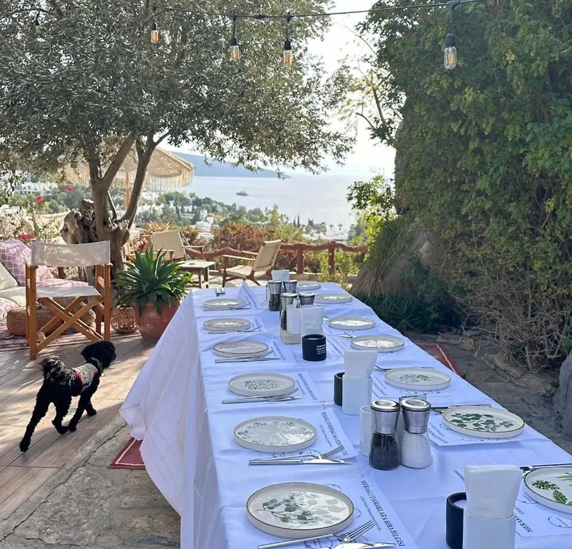 ****  The Aegean Gate Hotel (Adults Only) Bodrum Türkei