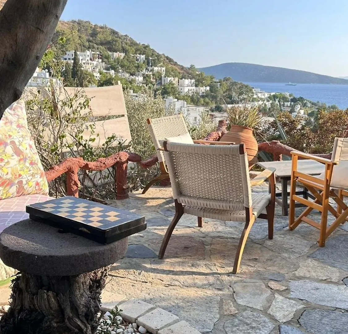 The Aegean Gate Hotel (Adults Only) Bodrum 4*,